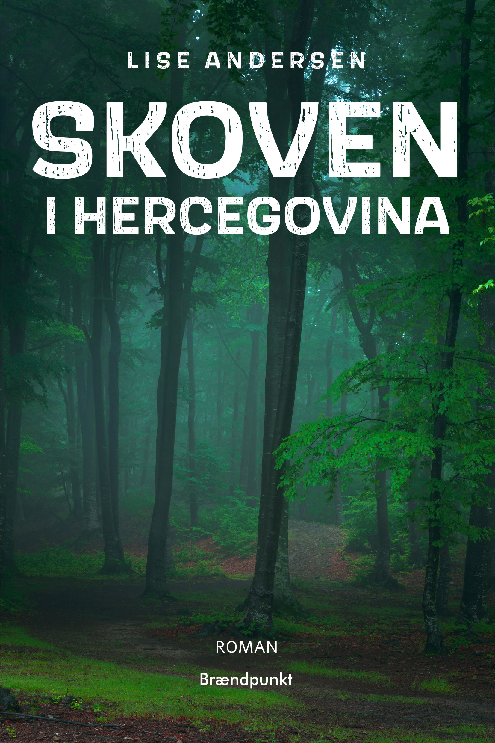 Skoven i Hercegovina af Lise Andersen, roman 