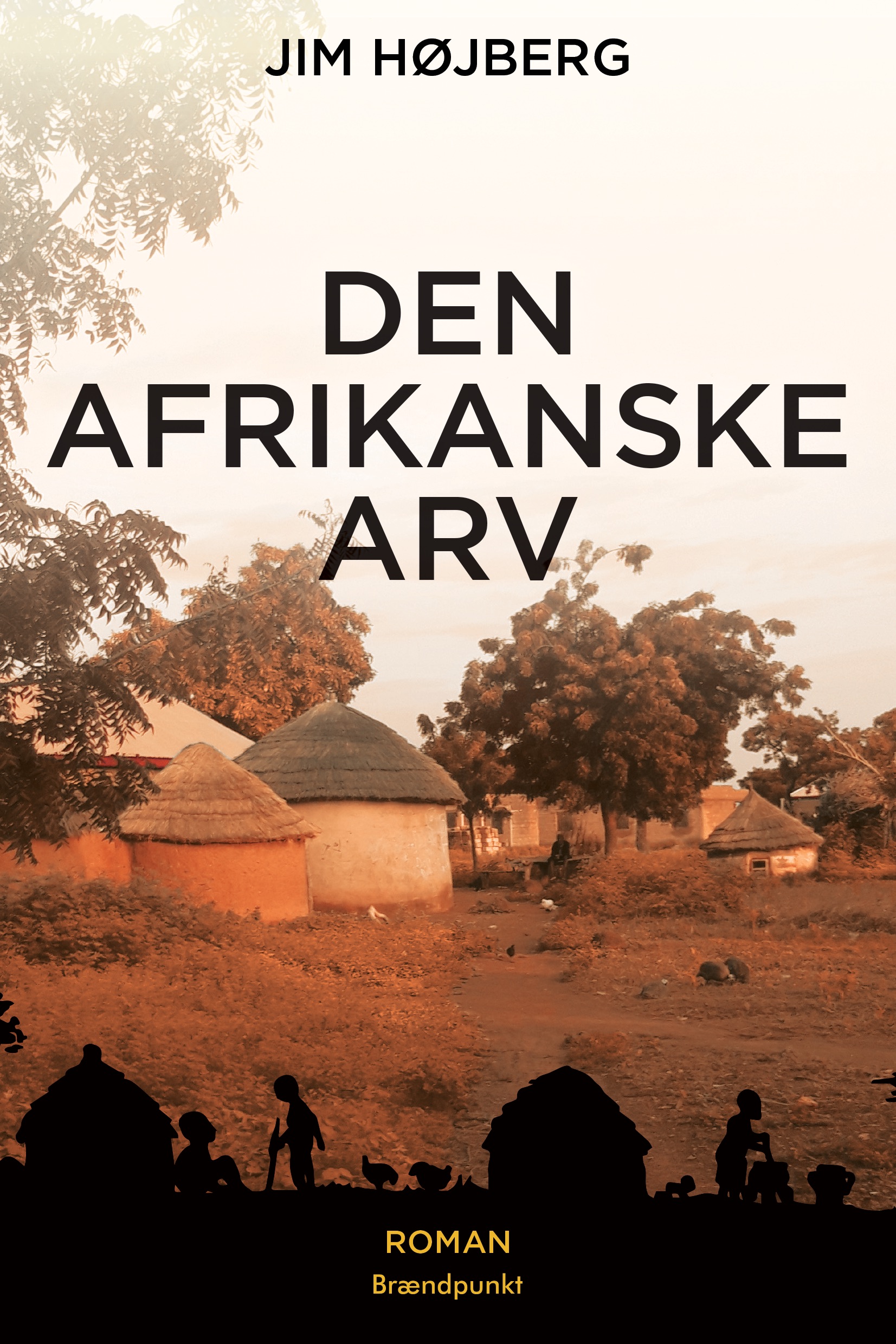 Den afrikanske arv af Jim Højberg, roman