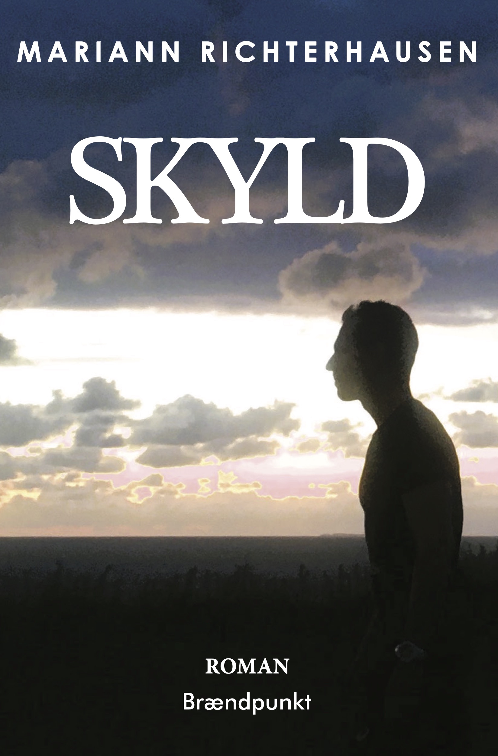 Skyld af Mariann Richterhausen, roman