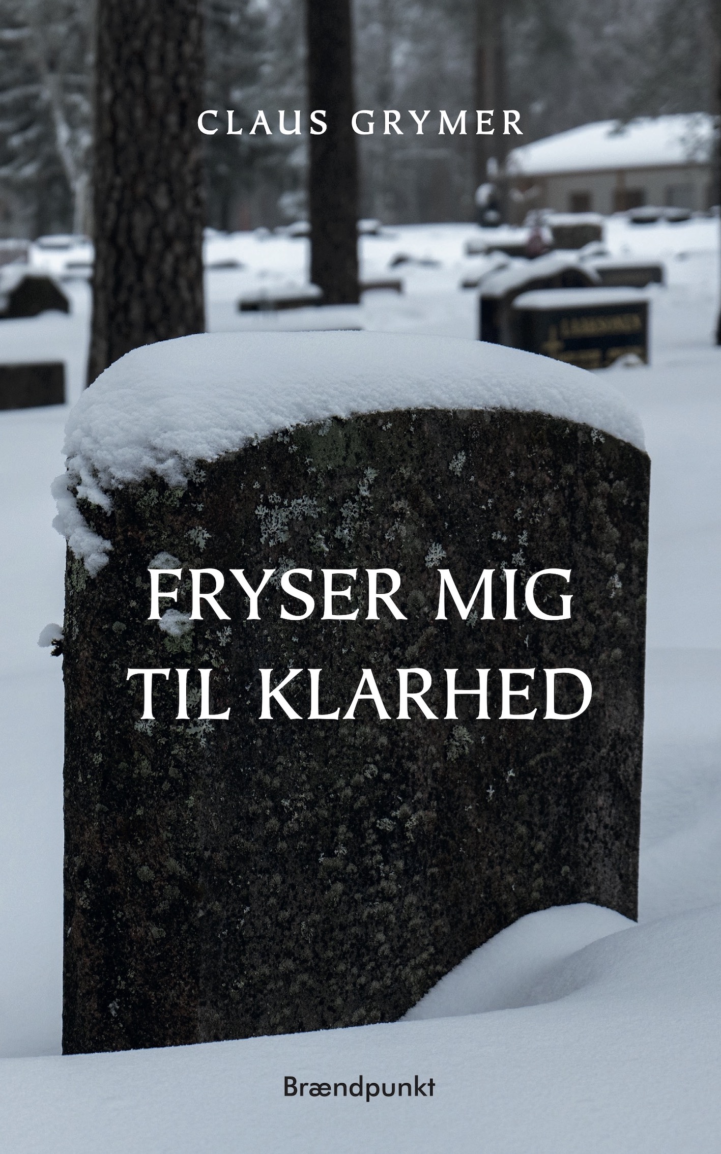 Fryser mig til klarhed af Claus Grymer, digte