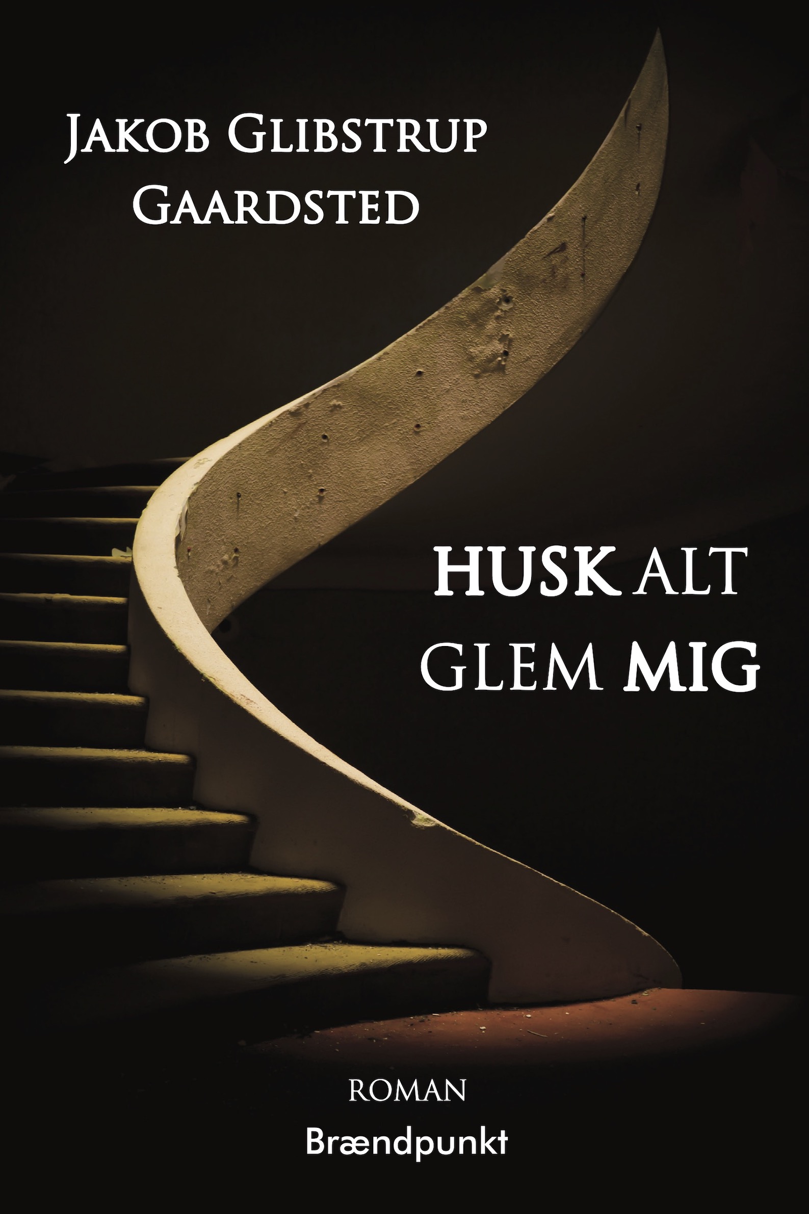 Husk Alt Glem Mig af Jakob Glibstrup Gaardsted, roman