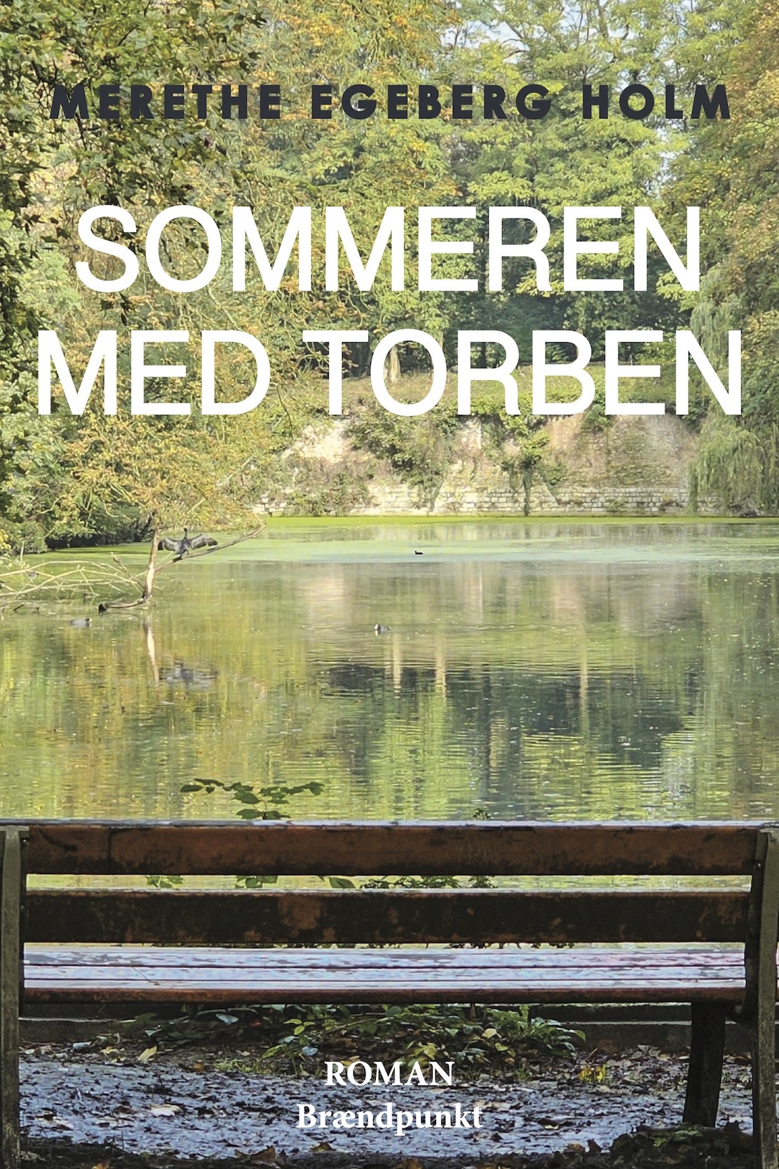 Sommeren med Torben af Merethe Egeberg Holm, roman