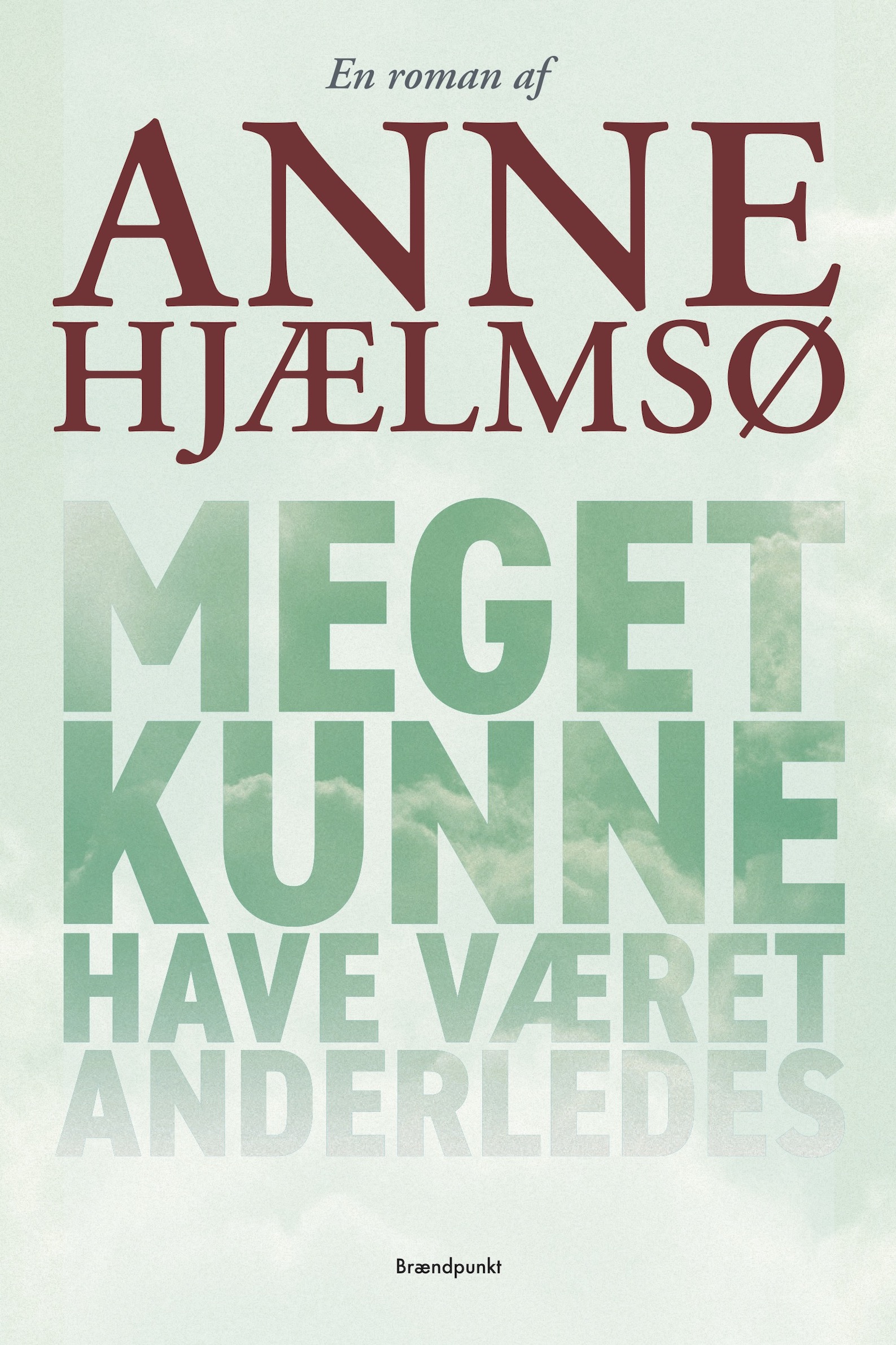 Meget kunne have været anderledes af Anne Hjælmsø, roman