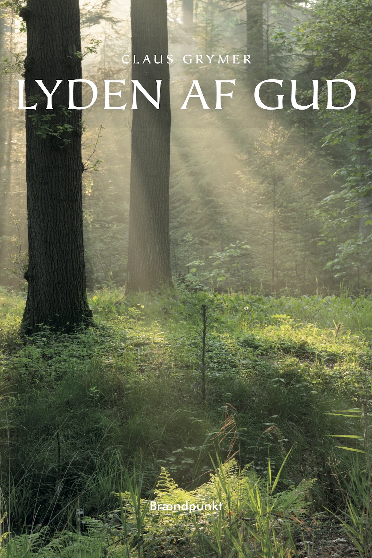 Lyden af Gud af Claus Grymer, digte