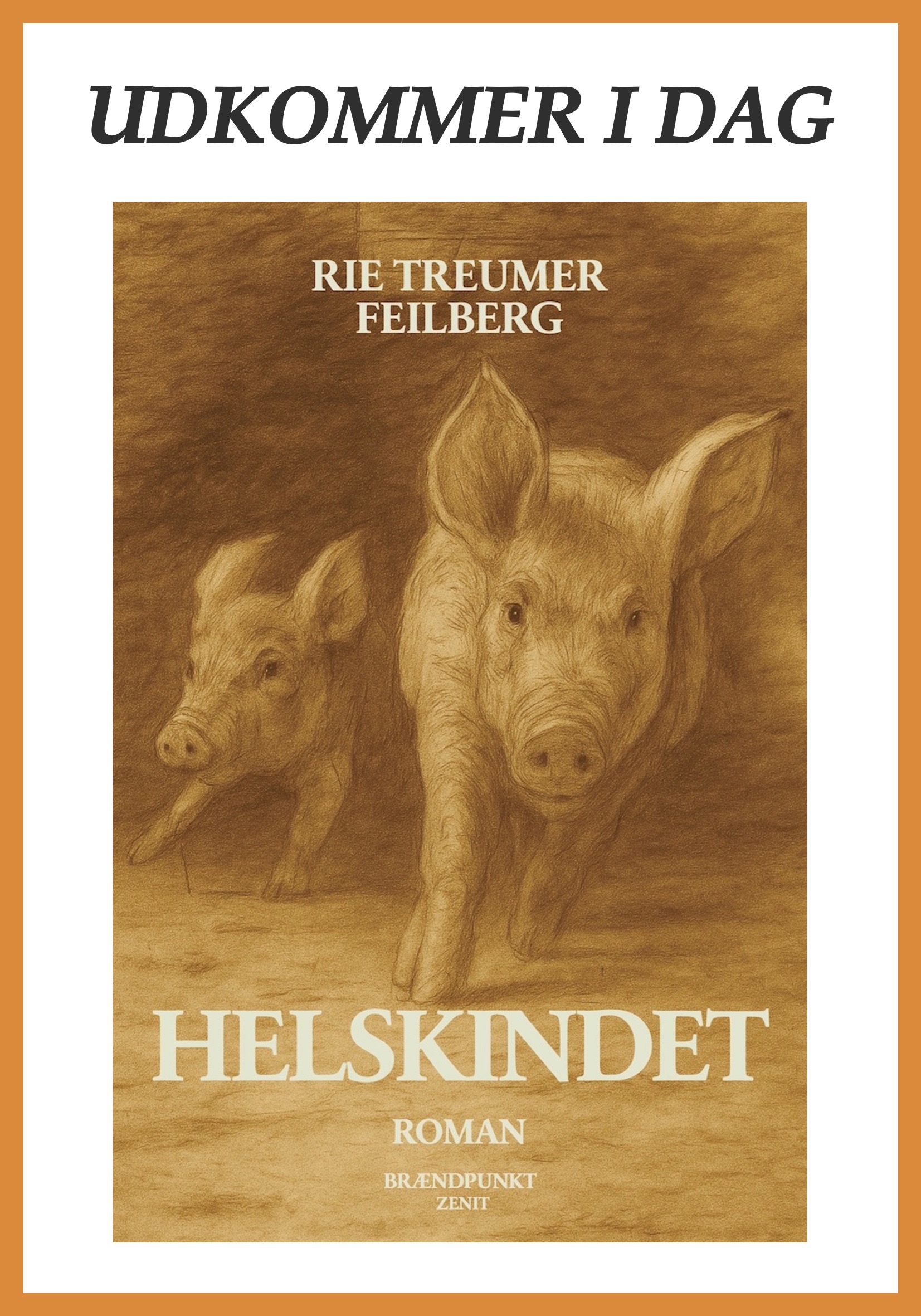 Udkkommer i dag